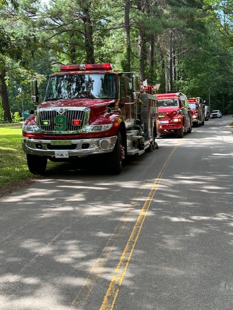 A row of red fire trucks with lights on is parked along a shaded road lined with tall trees on a sunny day.